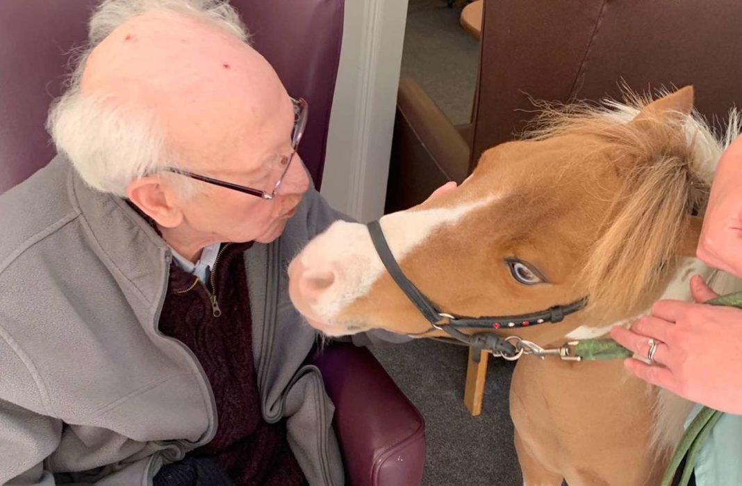 Les résidents de maisons de retraite atteints de démence bénéficient d'un invité très spécial lorsque les visites sont restreintes - un cheval miniature