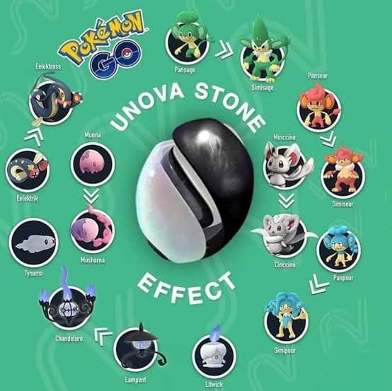 Unova Stone Pokemon: Comment évoluer vers d'autres espèces à l'aide de la pierre Unova?


