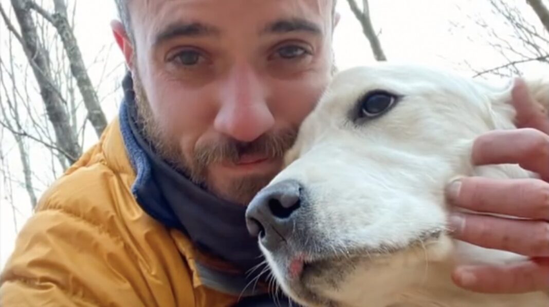 Perdu dans la forêt pendant 10 jours, ce chien a été sauvé par un drone