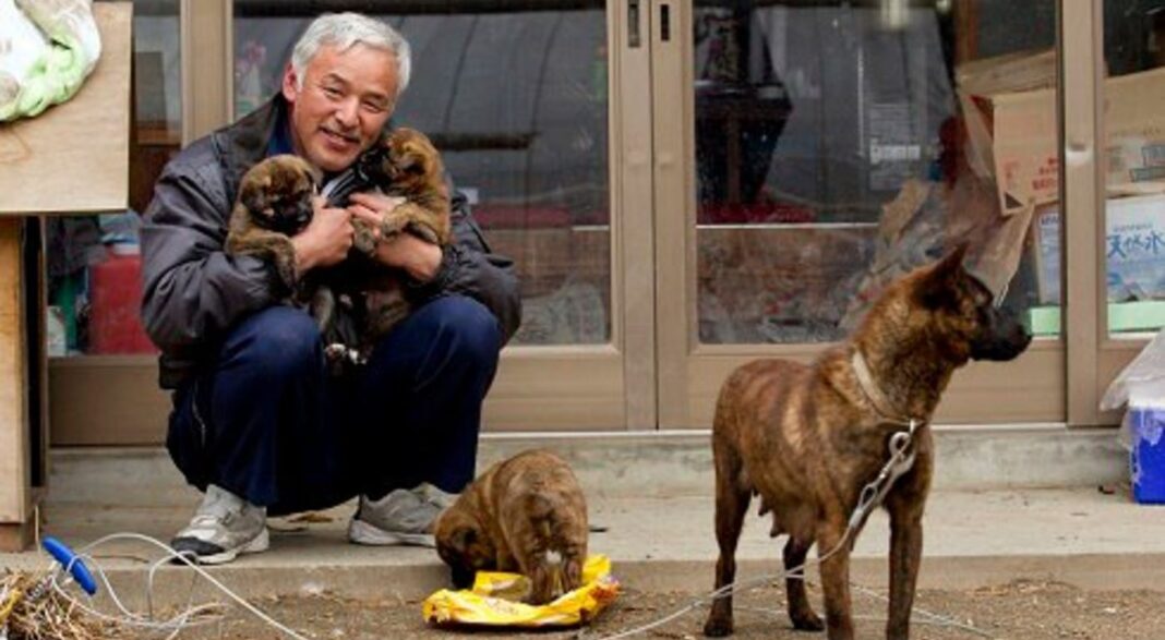 10 ans après la catastrophe nucléaire de Fukushima, deux hommes vivent toujours là-bas et s'occupent des animaux de compagnie de tout le monde