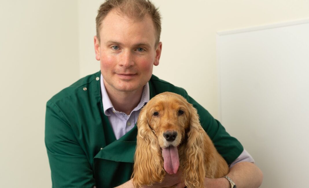 Un traitement pionnier de l'arthrite chez les chiens est mis en place et les vétérinaires le qualifient de 