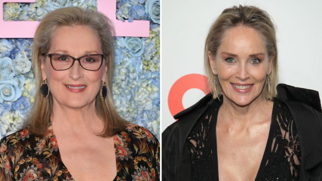Que s'est-il passé entre Meryl Streep et Sharon Stone ? Historique des déclarations peu élégantes