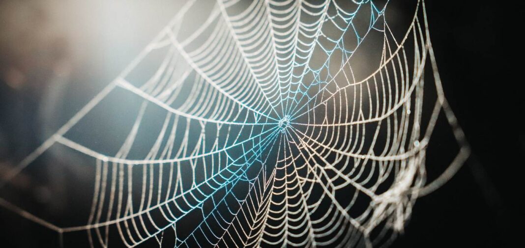 Des scientifiques découvrent comment les toiles d'araignée complexes sont fabriquées par des cerveaux qui ne font qu'une fraction de la taille de celui d'un être humain.