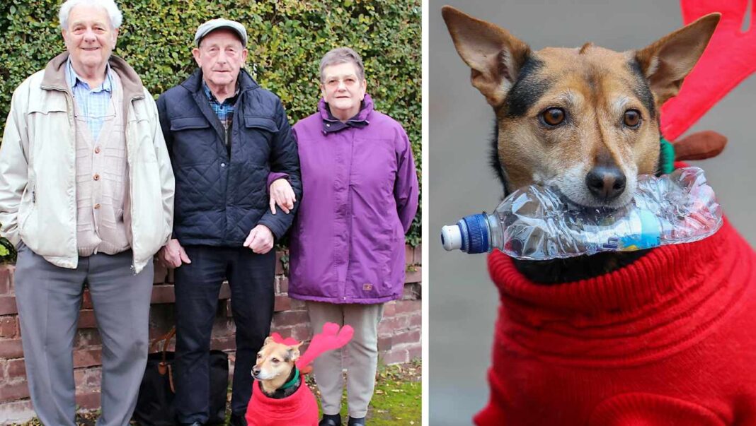 Un homme de 80 ans retrouve son frère et sa sœur perdus depuis longtemps grâce à son chien bien-aimé.