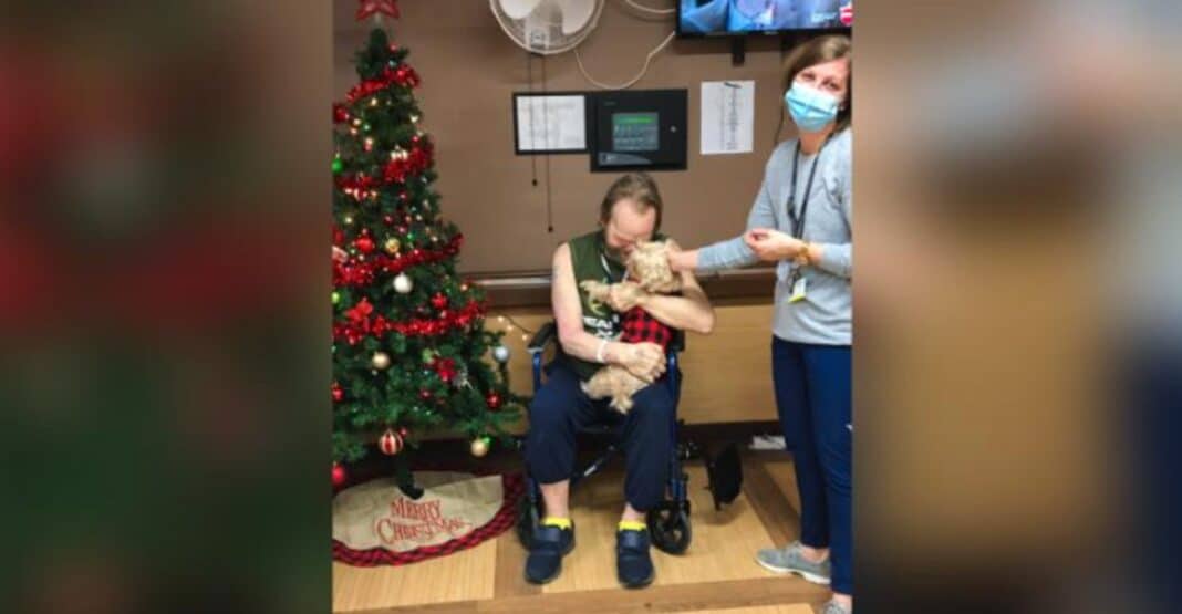 Une infirmière sauve le chien de sa patiente du refuge après avoir reçu un appel téléphonique émouvant