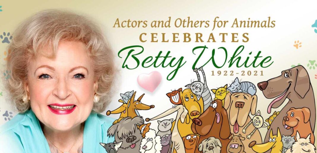Près de 13 millions de dollars collectés pour les refuges pour animaux en l'honneur de la célébrité décédée grâce au défi #BettyWhiteChallenge