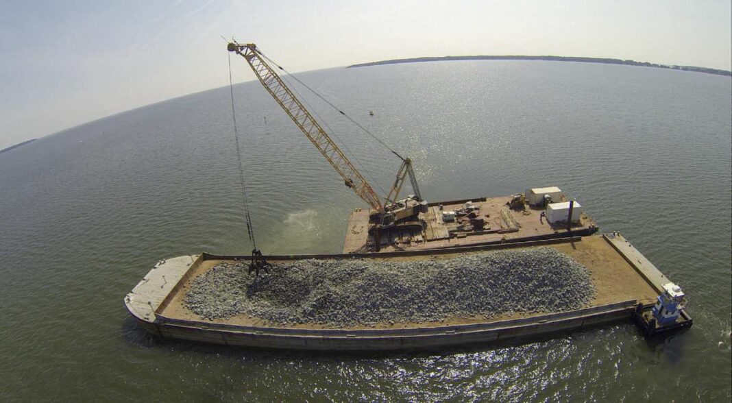 La plus grande restauration d'huîtres au monde a été réalisée dans des rivières de Virginie, respectant ainsi la promesse de restaurer les populations de la baie de Chesapeake.