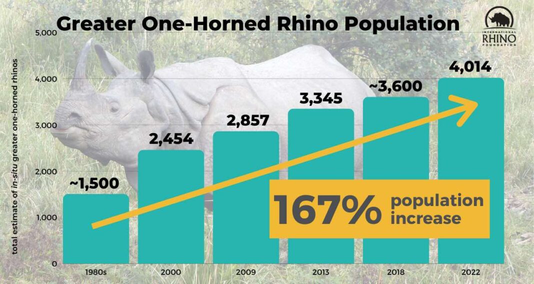 Le nombre de grands rhinocéros à une corne atteint un nouveau record, alors qu'il n'était que de 100 individus.