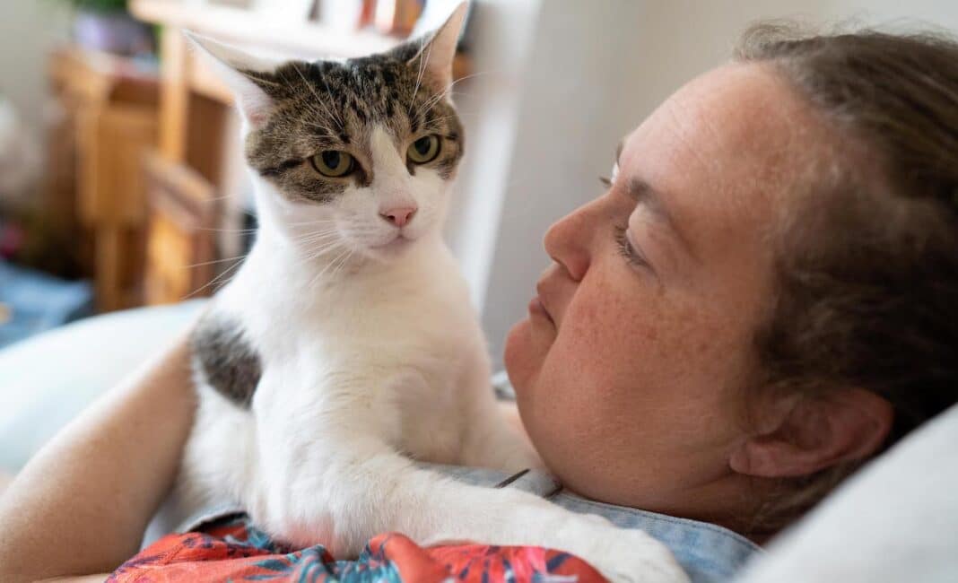 Un chat héroïque sauve sa maîtresse qui faisait une crise cardiaque en lui frappant la poitrine de ses pattes.