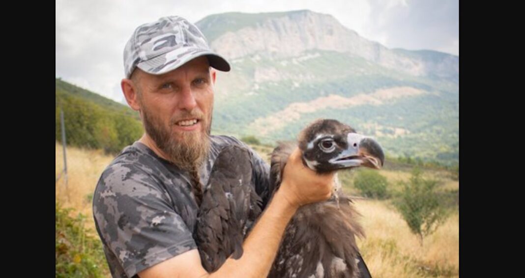 70 vautours relâchés en Bulgarie pour relancer la population sauvage qui s'est éteinte il y a 60 ans