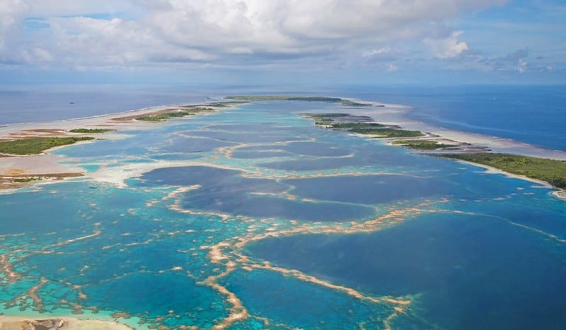 Les récifs du Pacifique, autrefois dévastés, connaissent une renaissance étonnante et se rétablissent à une 