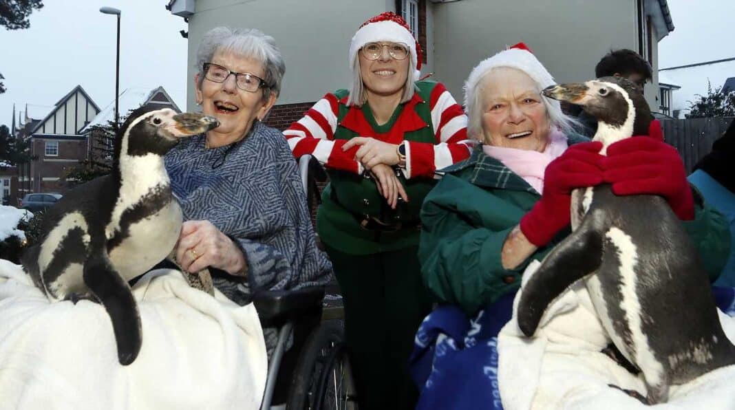Les résidents d'une maison de soins sont surpris par les pingouins qui apportent la joie de Noël.