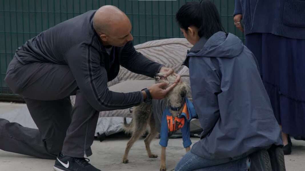 Une équipe de vétérinaires de rue soigne les animaux de compagnie des sans-abri de Skid Row