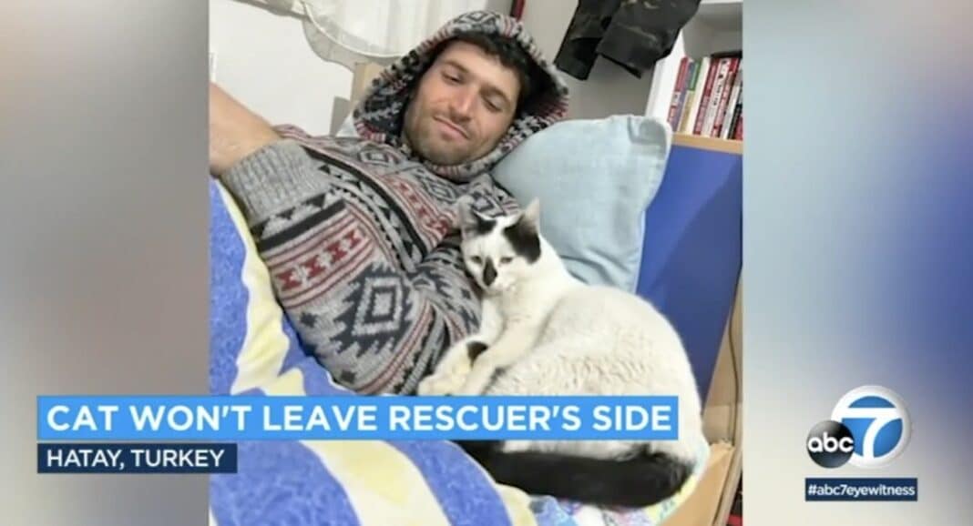 Un pompier turc sauve un chat des décombres et il refuse de le quitter